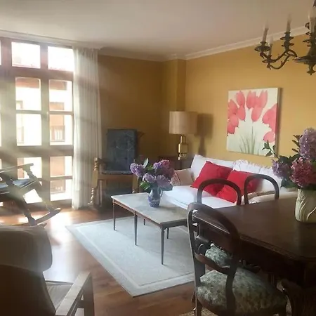 Amplio Y Acogedor Piso Con Garaje En Nueva アパート